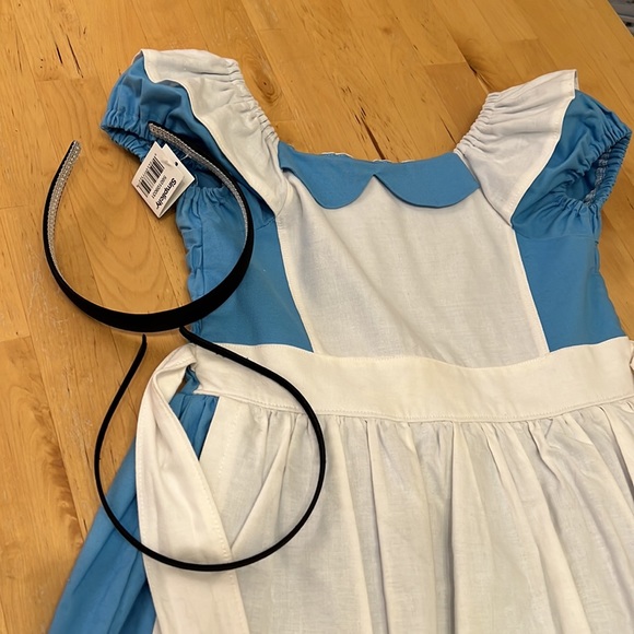 Custom Made Alice in Wonderland Dress - size 6. Headband included. - Picture 6 of 6